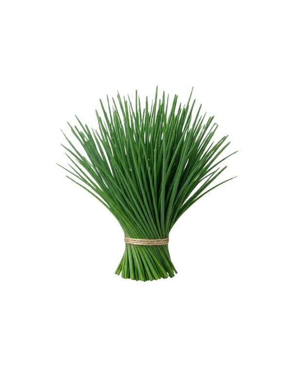 Producto - CIBOULETTE