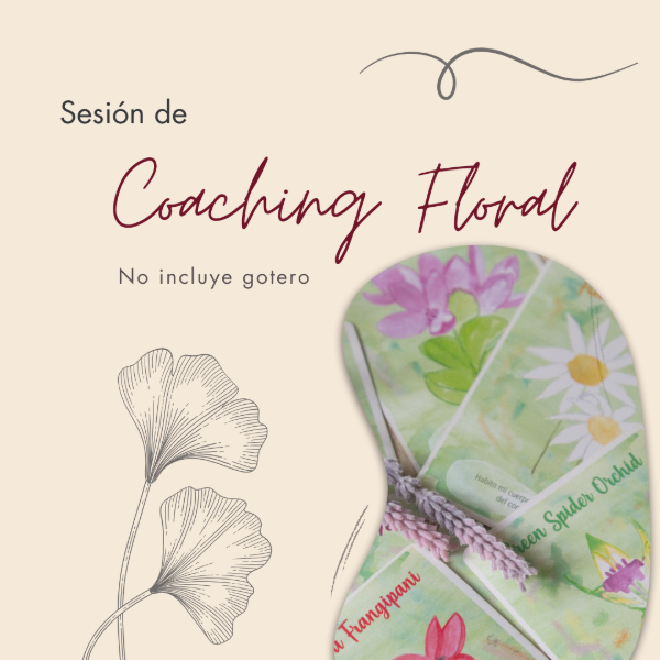 Producto - Sesión Coaching Floral (no incluye gotero)