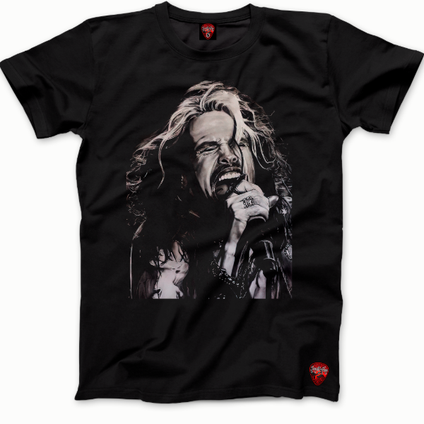 Producto - Remera - Aerosmith - Dtf - 16