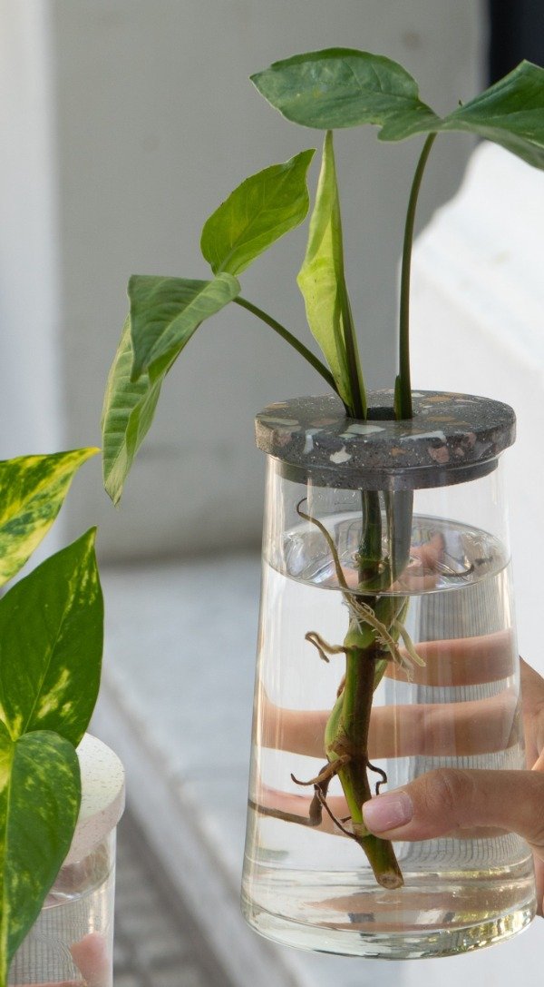 Producto - Hydro con tapa de terrazo