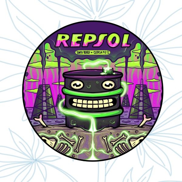 Producto - REPSOL (3 unidades)