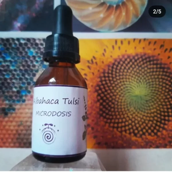 Producto - Microdosis de Tulsi Albahaca Sagrada Hierba Adaptógena