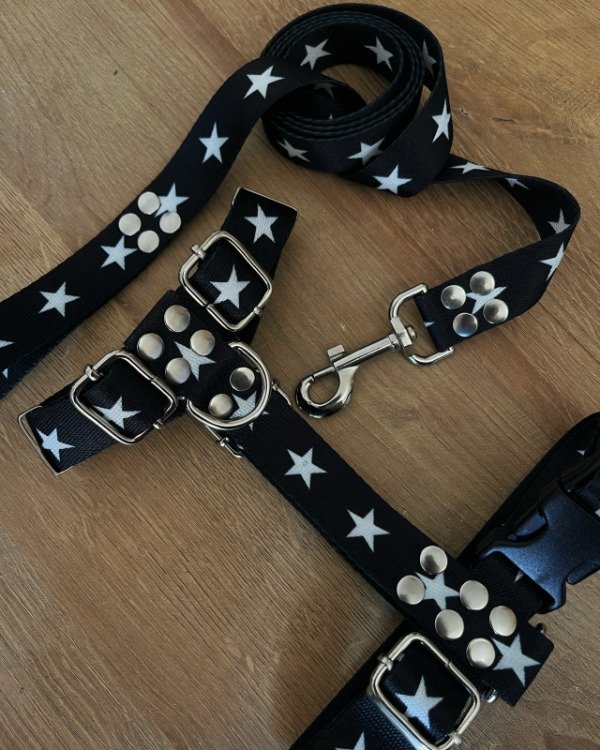 Producto - Pretal y correa ROCKSTAR