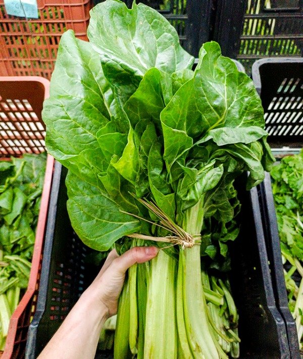 Producto - Acelga x atado Agro