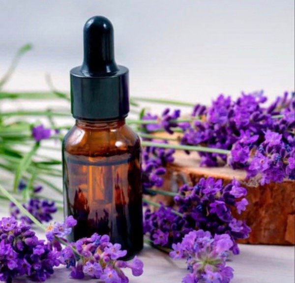 Producto - ACEITE PURO DE LAVANDA