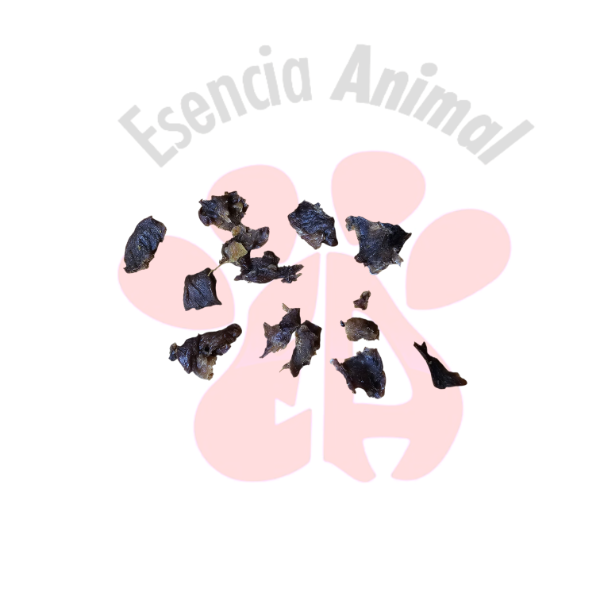 Producto - Carne de cerdo deshidratada para entrenar