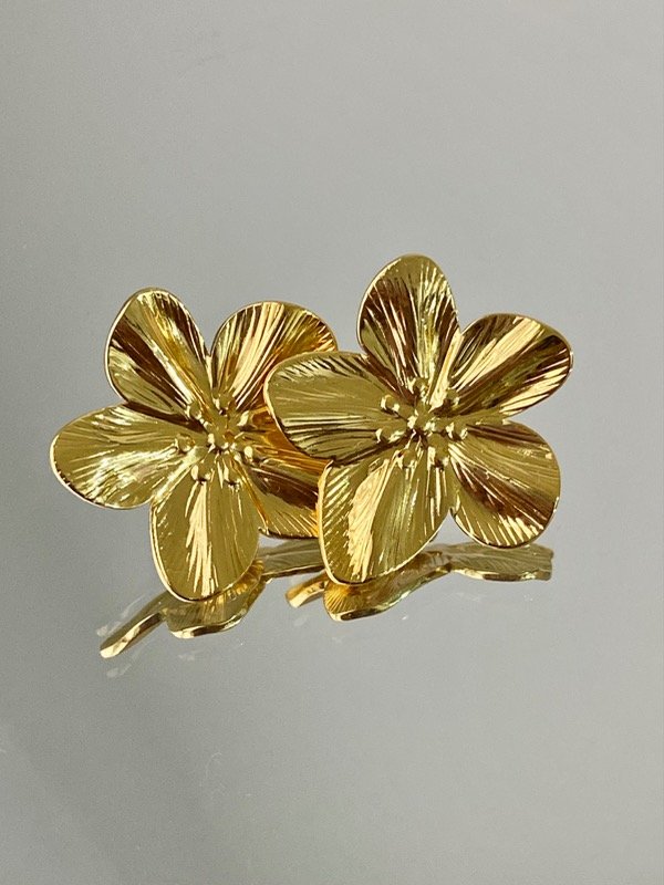 Producto - Aros Daisy Waterproof