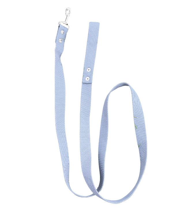 Producto - Correa lisa gris