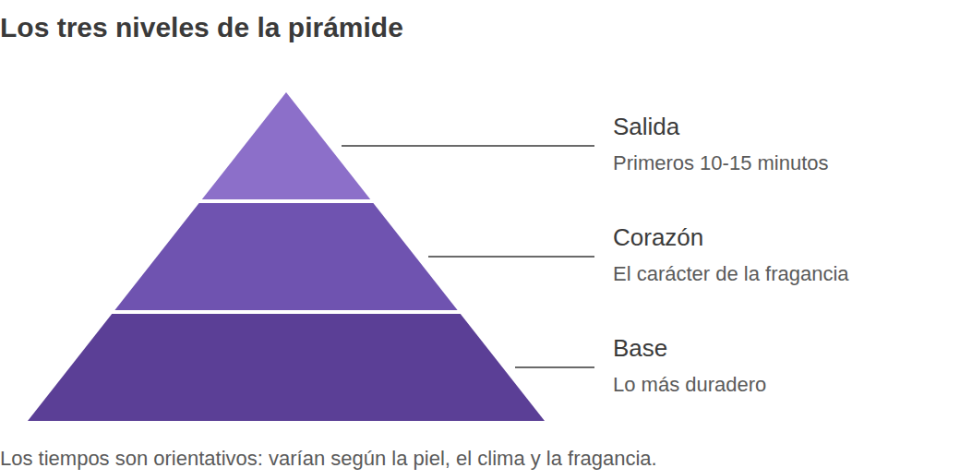 Pirámide olfativa de tres niveles: en la cima las notas de salida (primeros 10 a 15 minutos), en el medio las notas de corazón (forman el carácter, hasta varias horas), en la base las notas de fondo (las más duraderas).