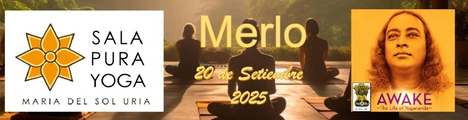 portada blog