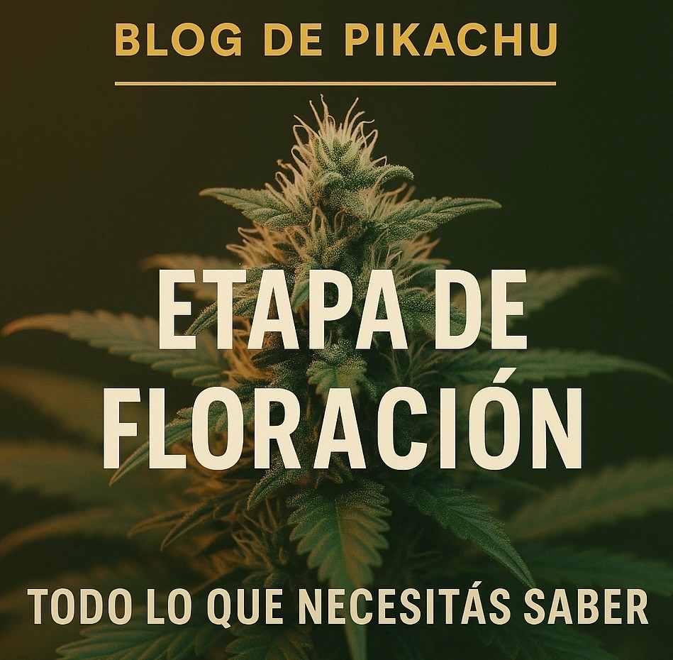 portada blog