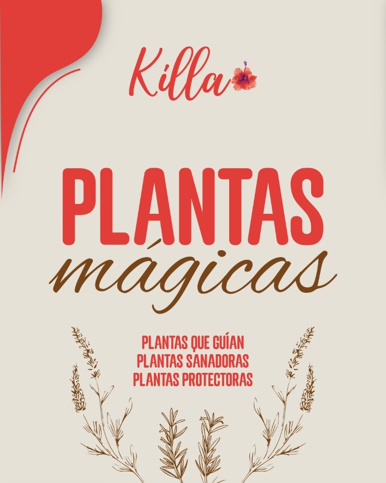 portada blog