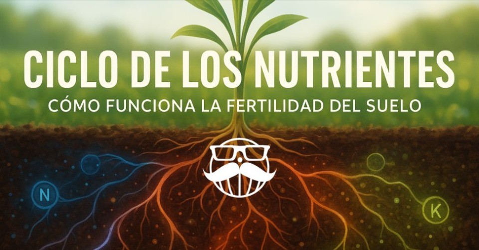 portada blog