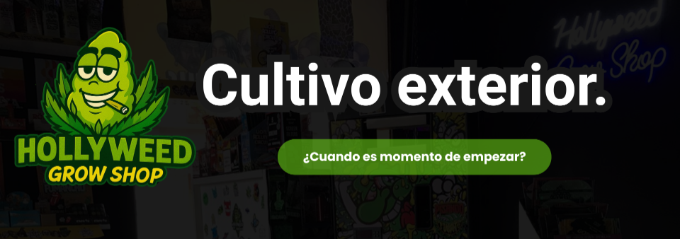 portada blog
