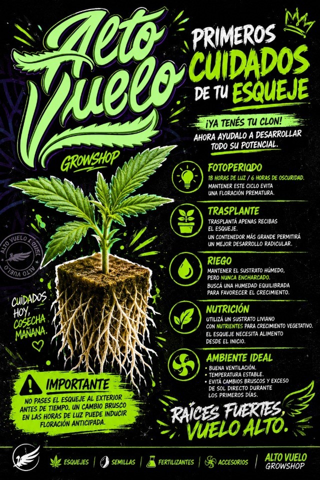 portada blog