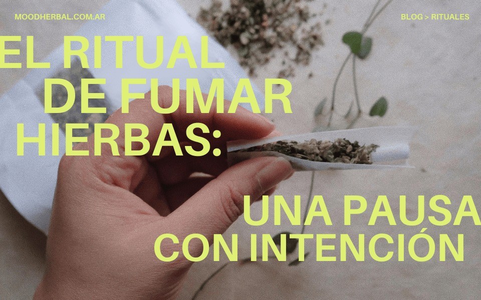 portada blog