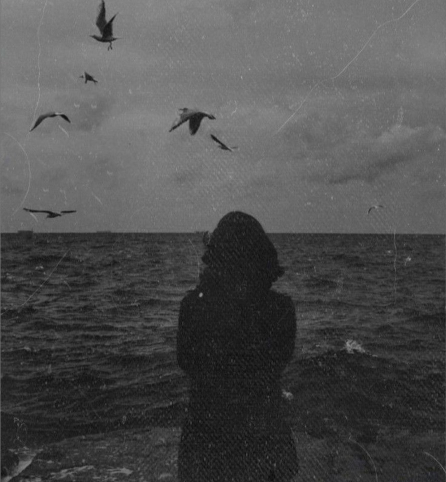 portada blog