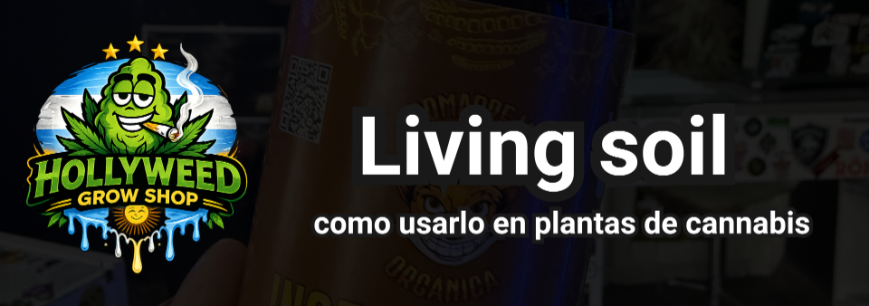 portada blog