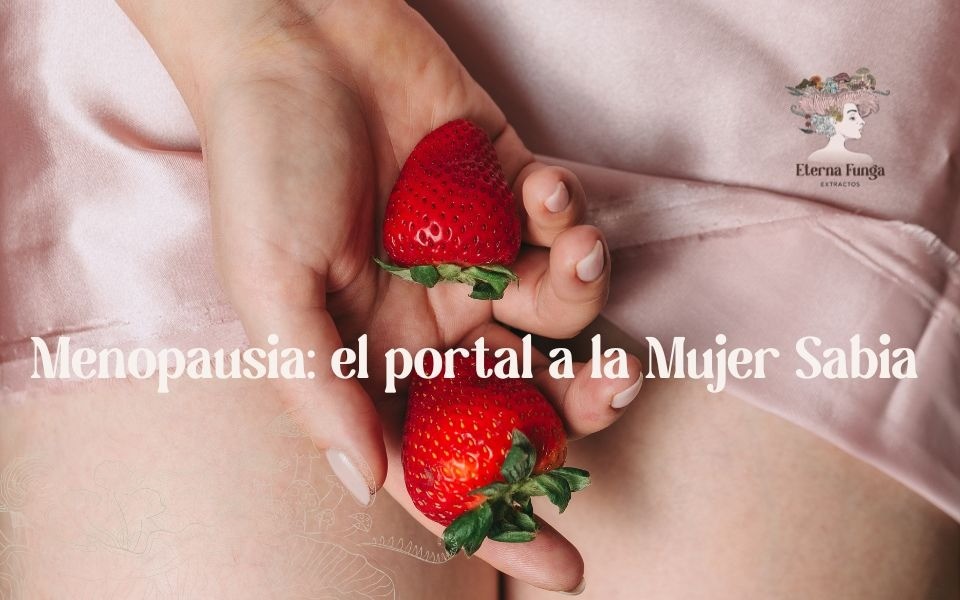 portada blog