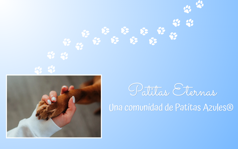 portada blog