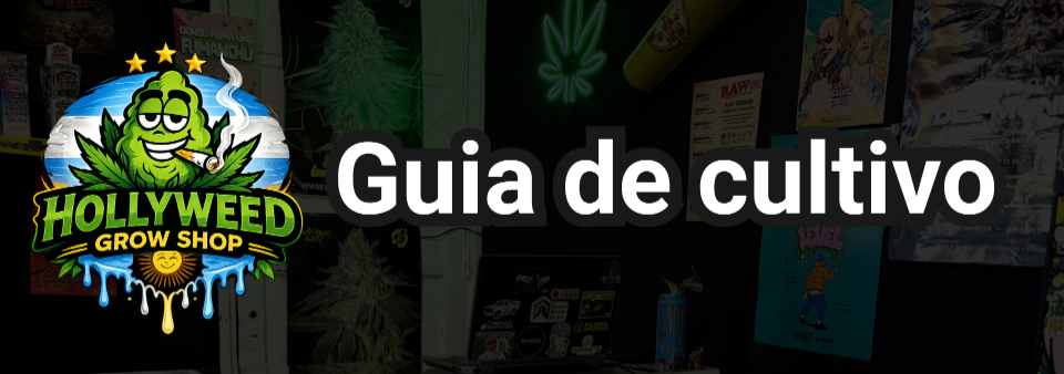 portada blog